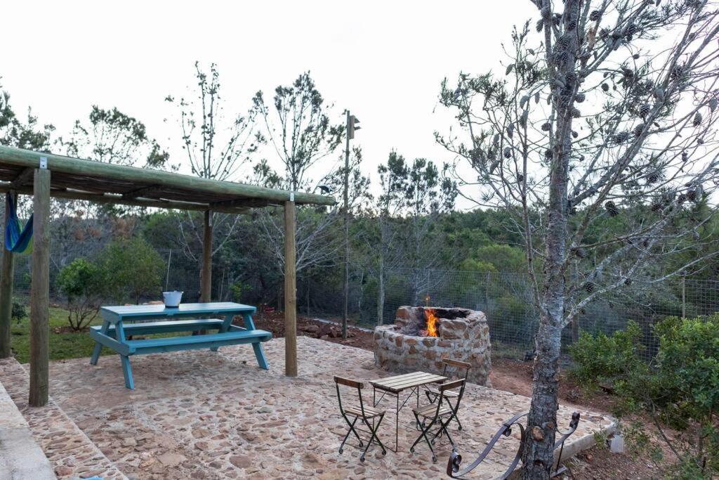 The Surfers Bush